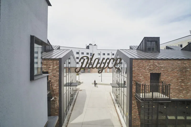 플레이스 캠프 제주 호텔 사진