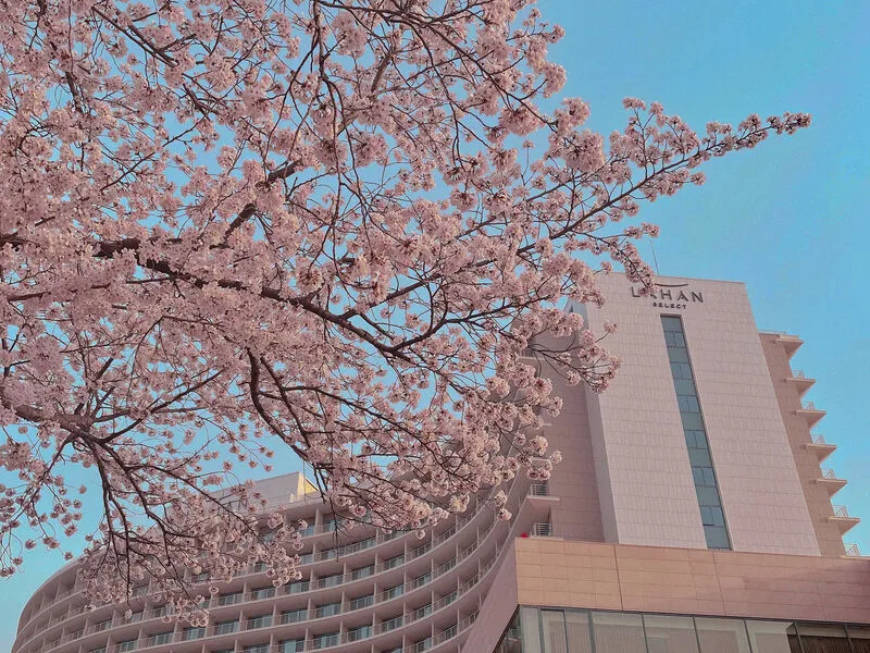 라한셀렉트 경주 호텔 사진