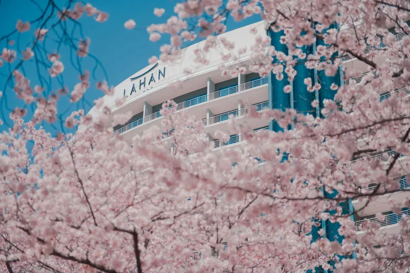 라한셀렉트 경주 호텔 사진