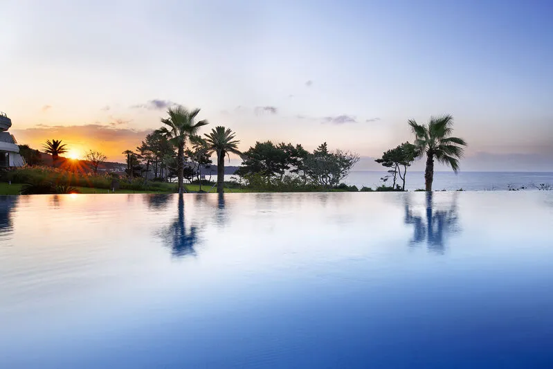 파르나스 호텔 제주 호텔 사진