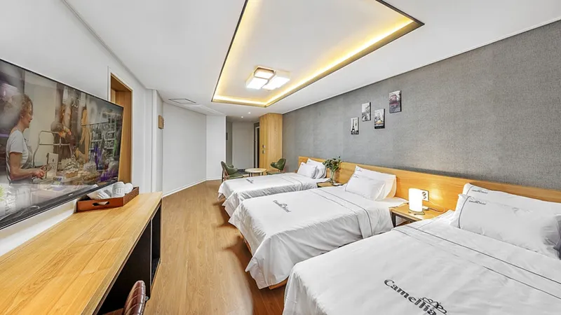 여수 카멜리아 호텔 호텔 사진