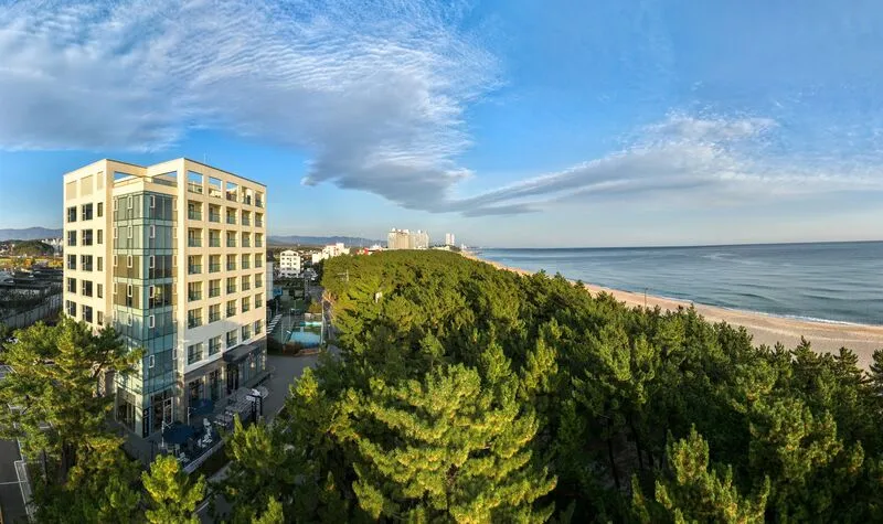 호텔하운드 강릉경포 호텔 사진