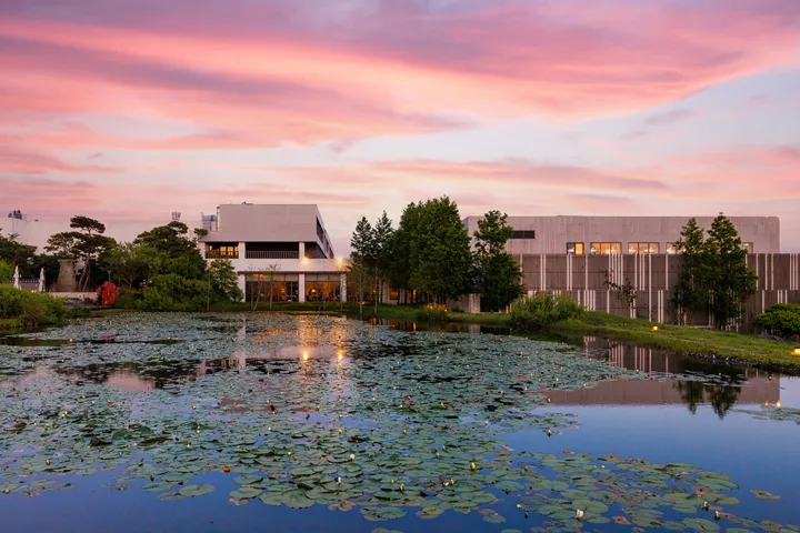 디아넥스 호텔 호텔 사진