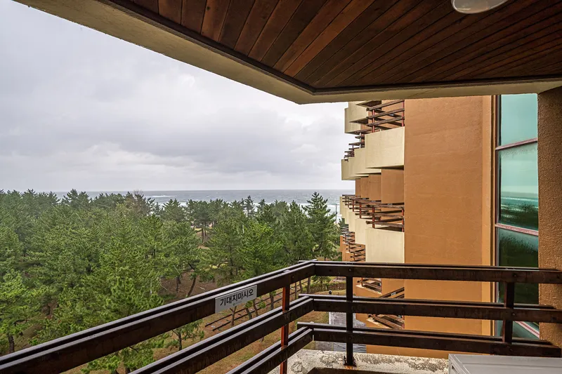 강릉 산과바다 주문진 리조트 호텔 사진