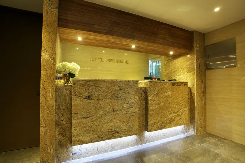 동대문역사문화공원역 트리쉐이드 호텔 호텔 사진