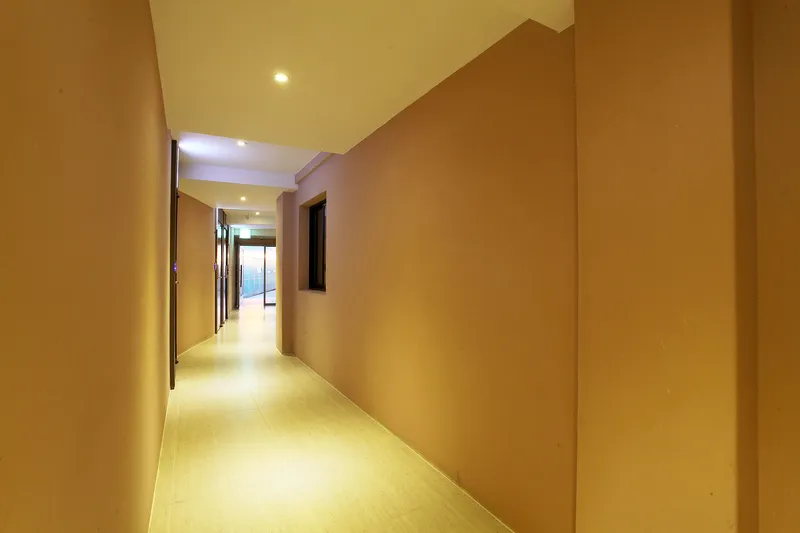 동대문역사문화공원역 트리쉐이드 호텔 호텔 사진