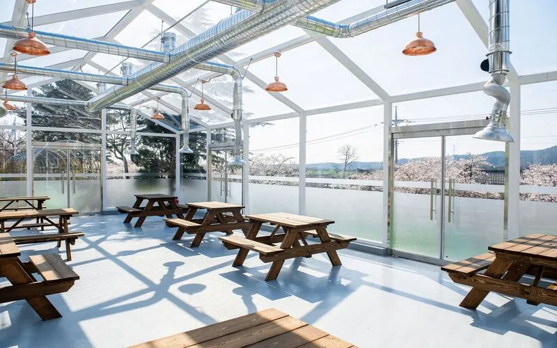 더케이설악산가족호텔 호텔 사진