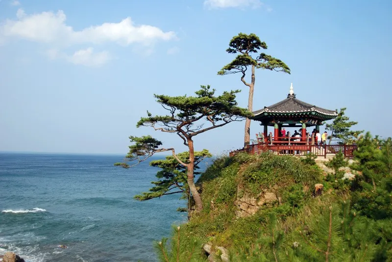 한화리조트 설악 별관 호텔 사진