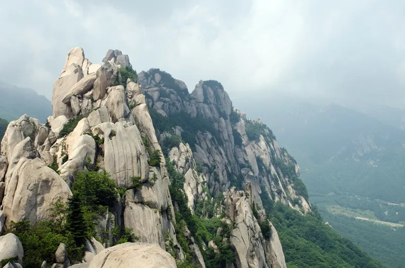 한화리조트 설악 별관 호텔 사진