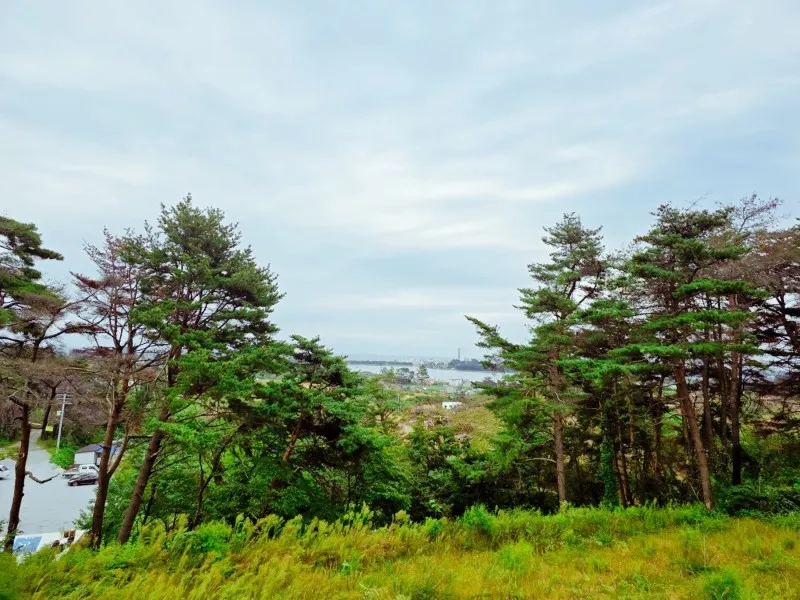 강릉 경포캐빈펜션 호텔 사진