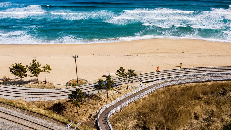 강릉(정동진) 부채길 모텔&펜션 호텔 사진