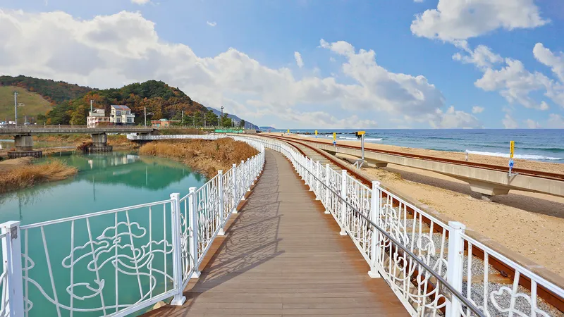 강릉(정동진) 부채길 모텔&펜션 호텔 사진