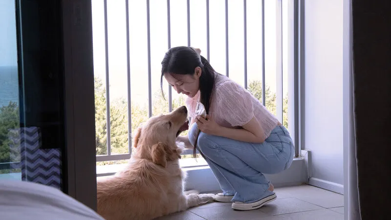 세인트존스호텔 호텔 사진