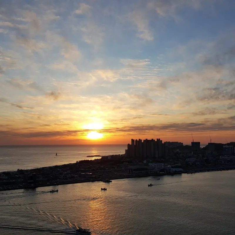 속초 씨크루즈호텔 호텔 사진