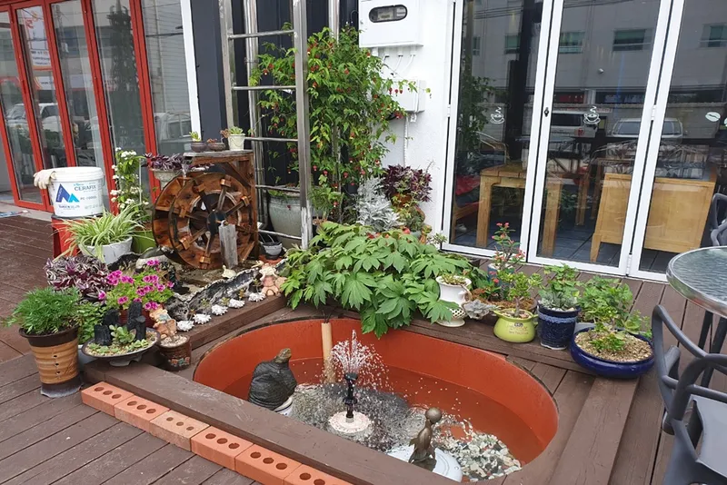 강릉 아카펠라 게스트하우스 호텔 사진