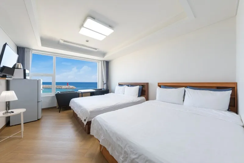 강릉 스테이구구펜션 호텔 사진