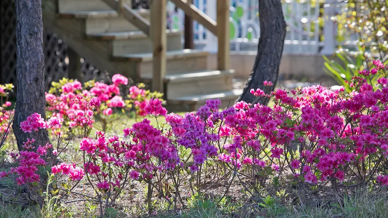 강릉 경포그곳에가면펜션 호텔 사진