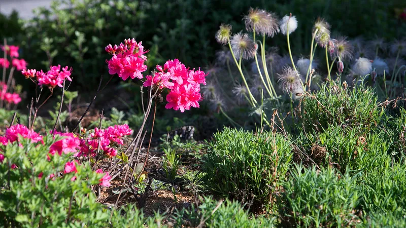 강릉 경포그곳에가면펜션 호텔 사진