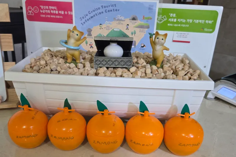 제주 자몽호텔 호텔 사진