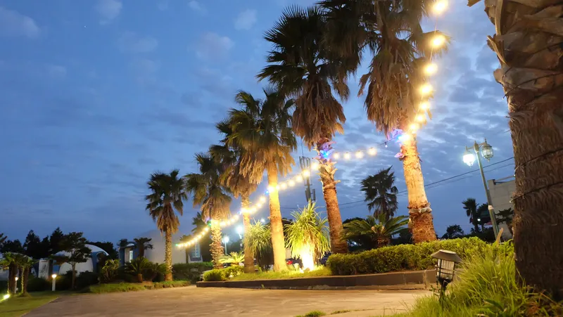 안녕감귤 제주독채펜션 호텔 사진