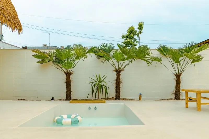 속초 청초한가펜션 호텔 사진