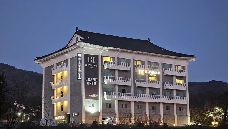 경주 H Avenue 경주불국사점 호텔 사진