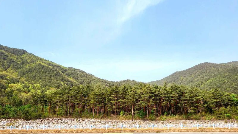 속초 파인뷰 호텔 사진