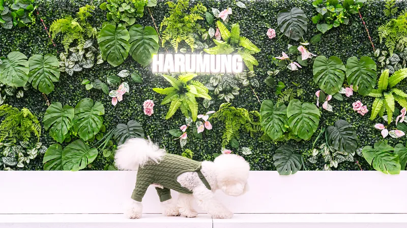 강화 하루멍 애견펜션 호텔 사진