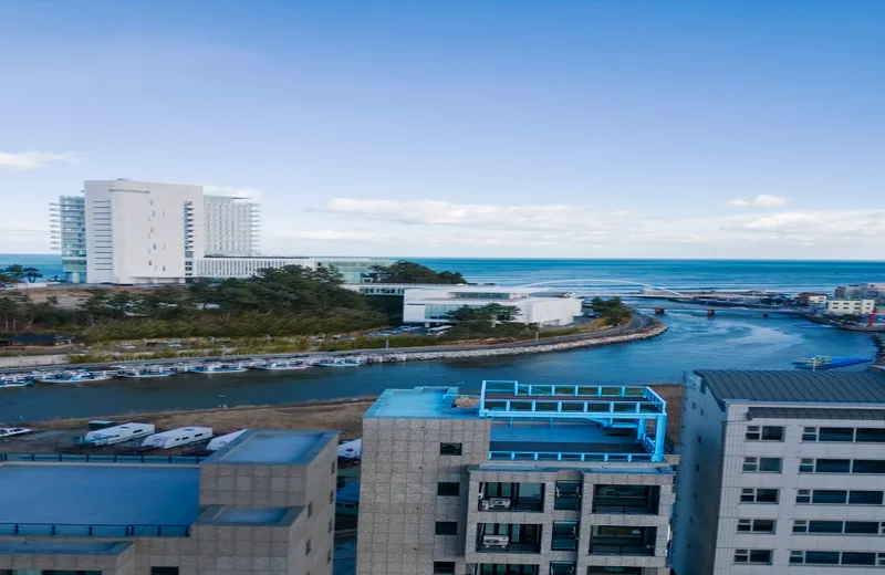 강릉 상상초당 펜션 호텔 사진