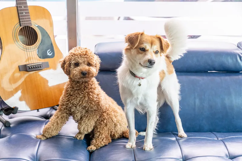 강릉 해와달 모텔 호텔 사진