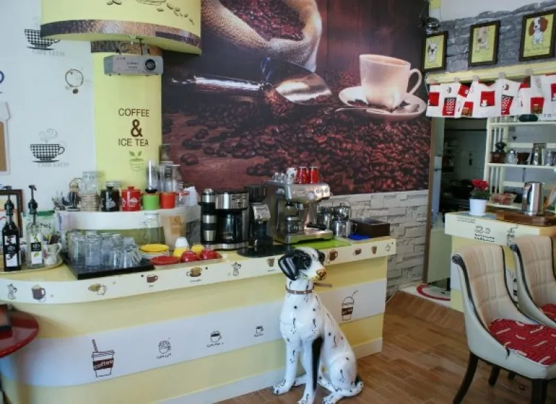 양양 설악산오색펜션 호텔 사진