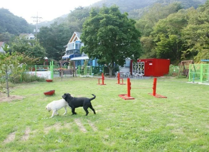 양양 설악산오색펜션 호텔 사진