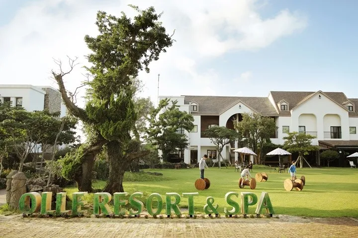 올레리조트 호텔 사진