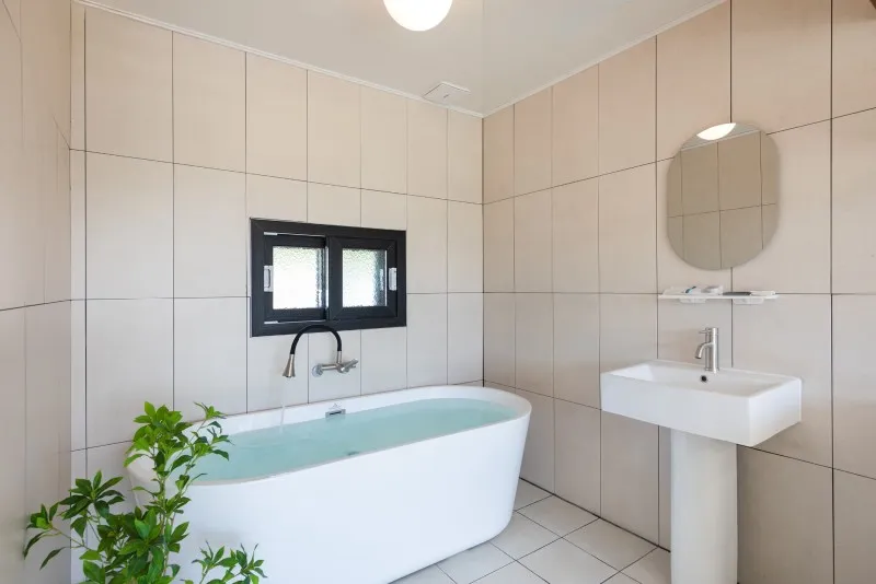 강릉 경포몽애견펜션 호텔 사진