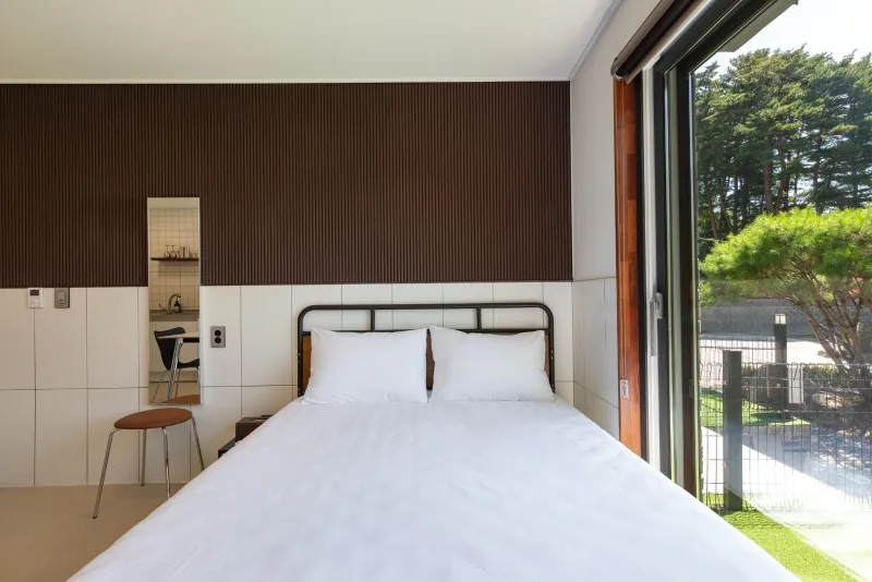 강릉 경포몽애견펜션 호텔 사진