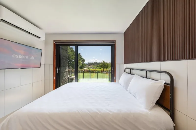 강릉 경포몽애견펜션 호텔 사진