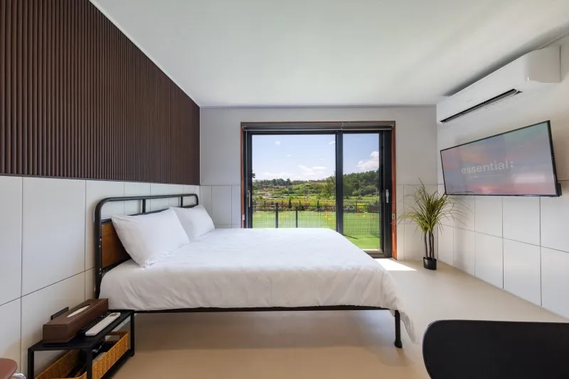 강릉 경포몽애견펜션 호텔 사진