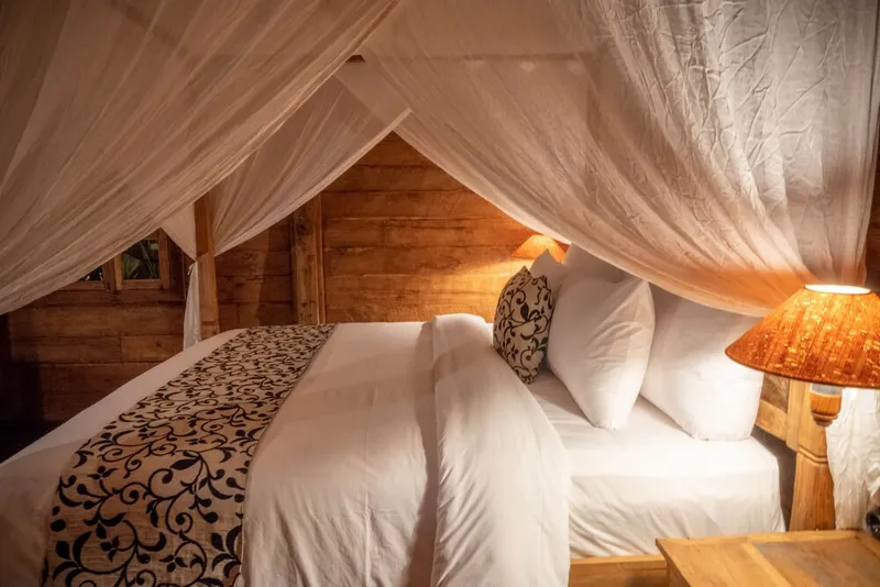 바잘로 코티지 창구 호텔 사진