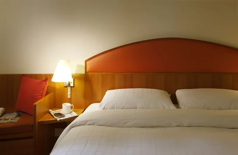 이비스 스타일 앰배서더 서울 강남 호텔 사진