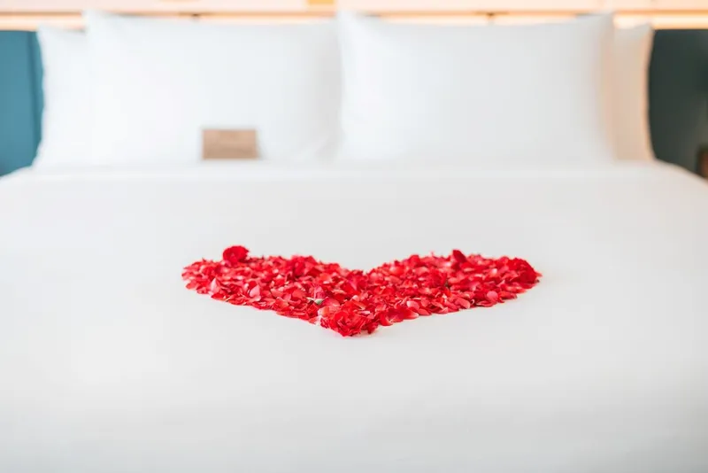 M 소셜 호텔 푸켓 호텔 사진