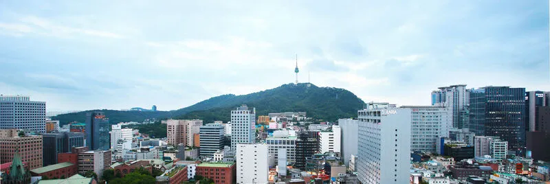 로얄호텔 서울 호텔 사진