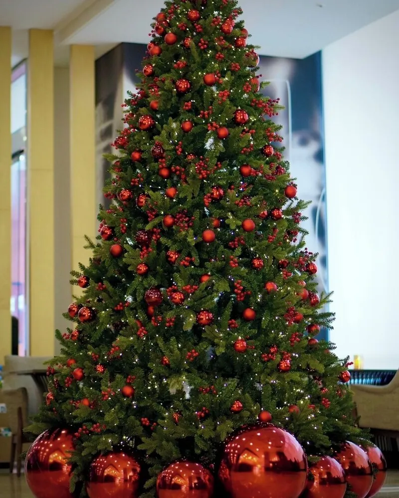 이비스 앰배서더 서울 인사동 (2025년 새롭게 리노베이션된 호텔) 호텔 사진