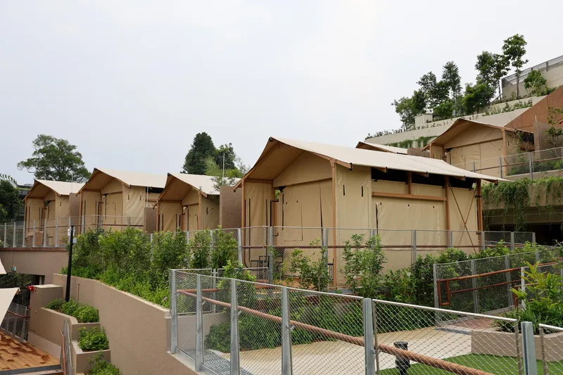 콜루고 캠프, 만다이 와일드라이프 이스트 호텔 사진