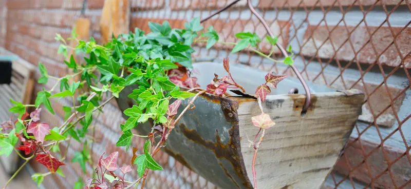전주 한옥마을 예당한옥펜션 호텔 사진