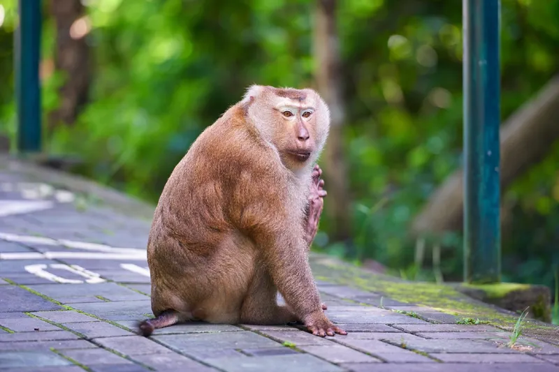 SK Poshtel phuket old town 호텔 사진