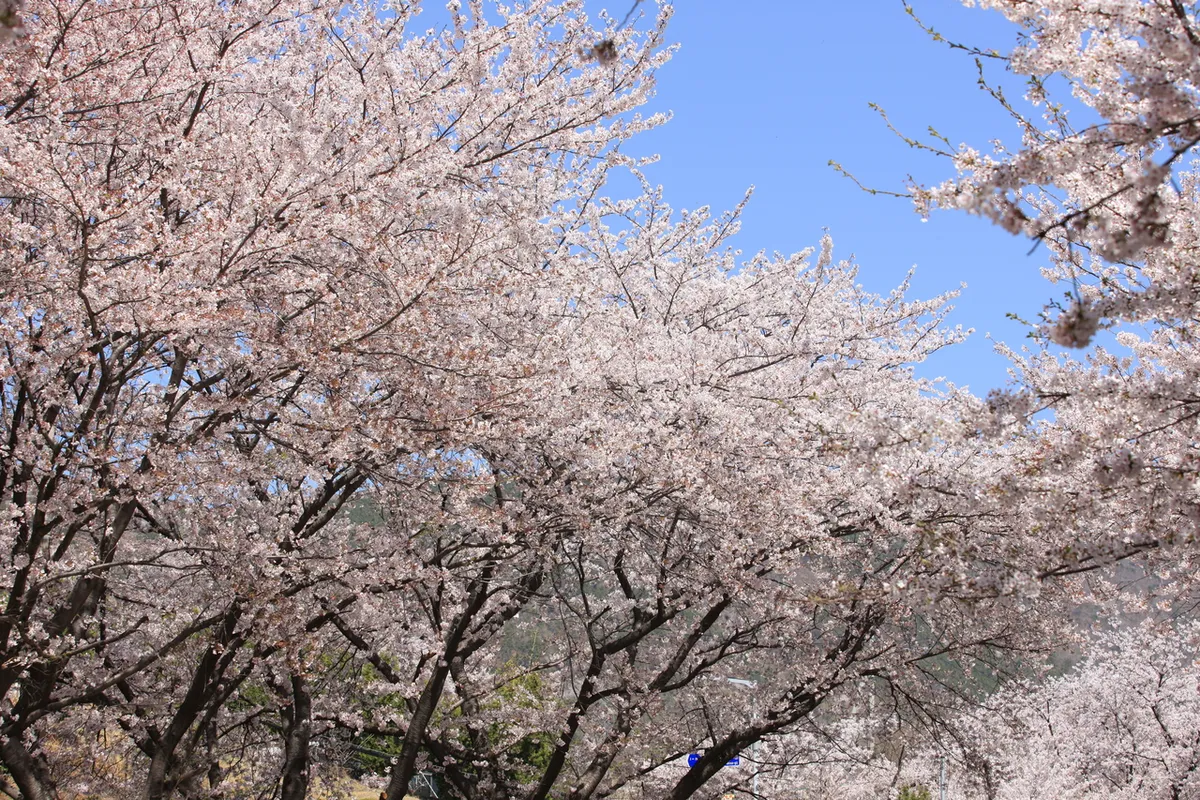 경화역