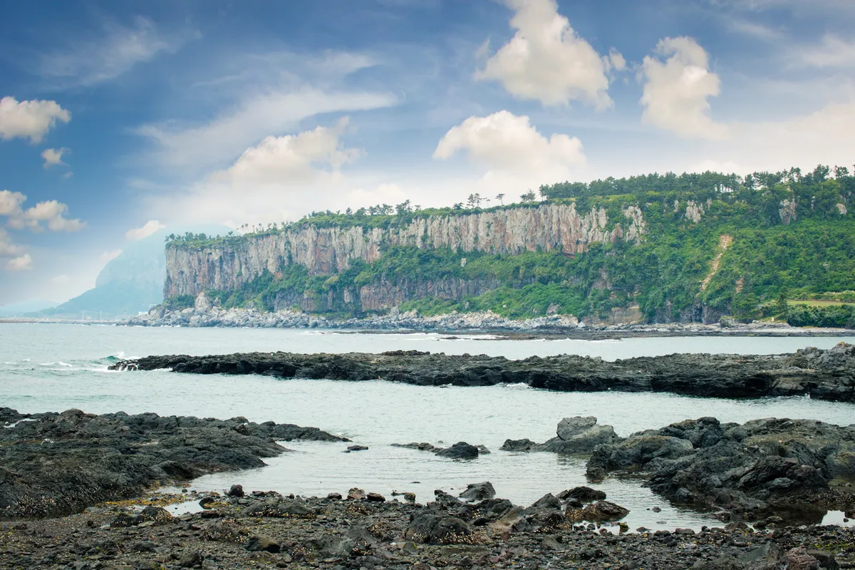 臀水溪谷油菜花