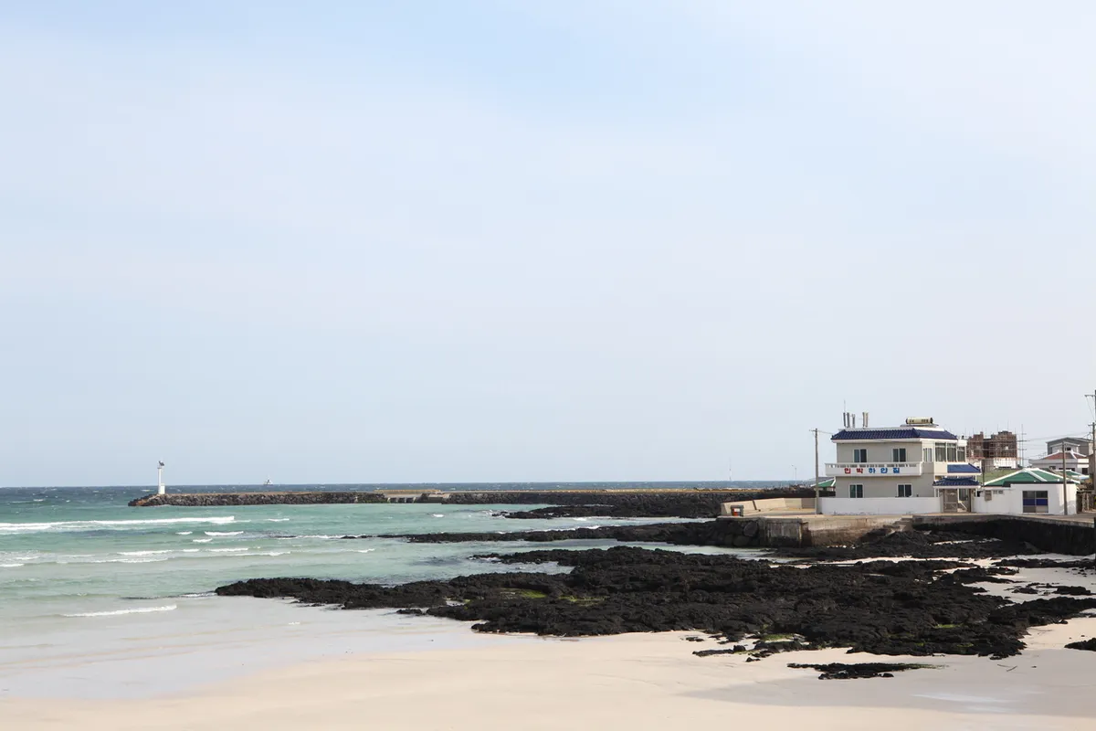 挟才海边油菜花