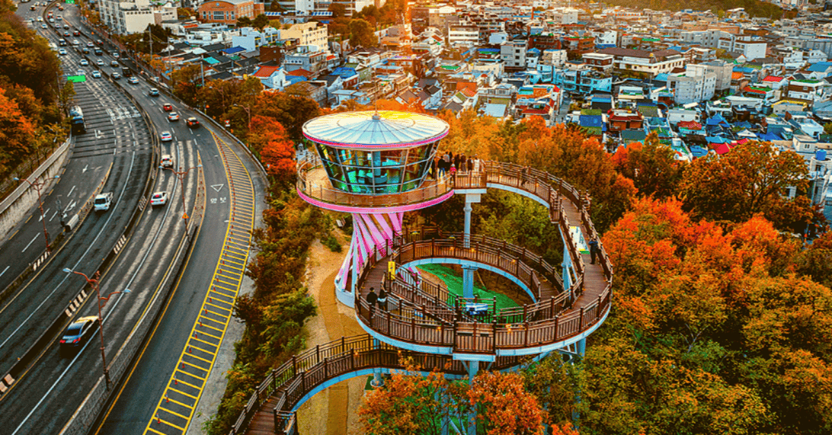 가을에 떠나는 랜선 대구여행 BEST 6