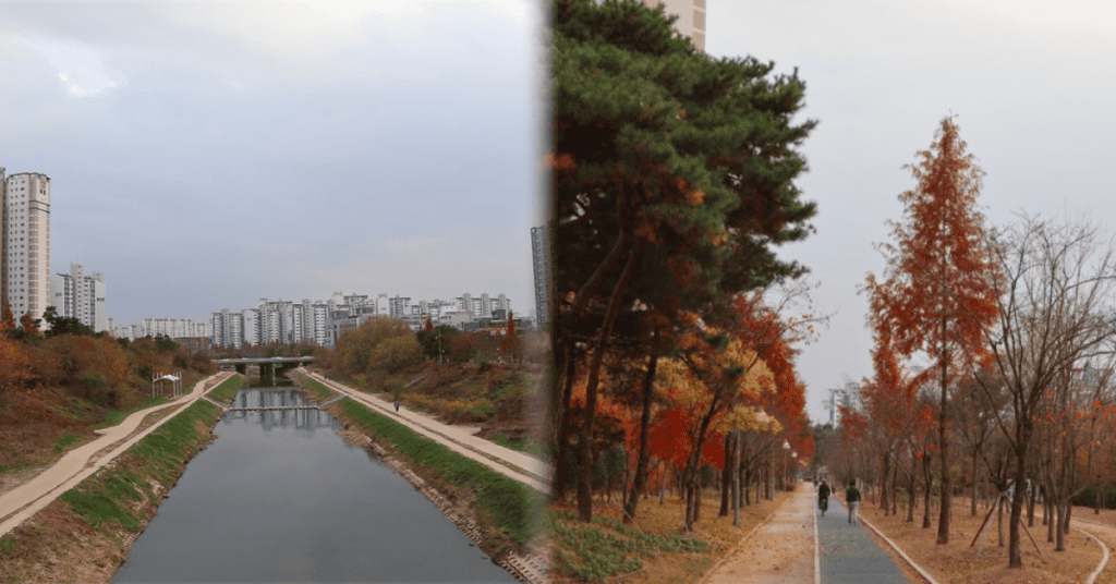 가을에 가볍게 가볼 만한 곳